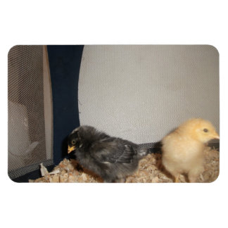 チックス マグネット