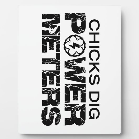 チックスDigパワーメーター フォトプラーク (正面)