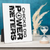 チックスDigパワーメーター フォトプラーク (側面)