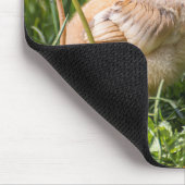 チックチキン，チキン，鶏肉 マウスパッド (コーナー)