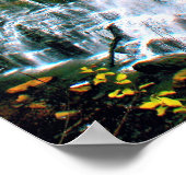 チッテナンゴ秋州パック ポスター (角)