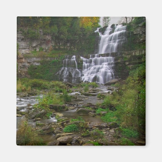 チッテナンゴ秋 マグネット (正面)