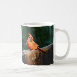 チッパー(鳥)ショウジョウコウカンチョウマグ コーヒーマグカップ
