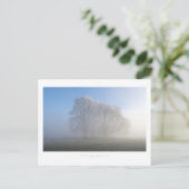 チッピングキャンプデン ポストカード (スタンド正面)