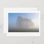 チッピングキャンプデン ポストカード (正面/裏面)