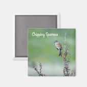 チッピング・スパロー マグネット (正面/裏面)
