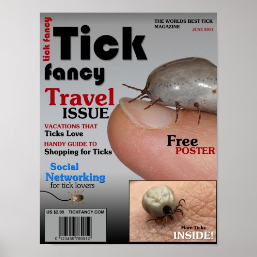 チッファンシーク! ポスター (正面)