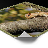 チップかデール？ ポスター (角)