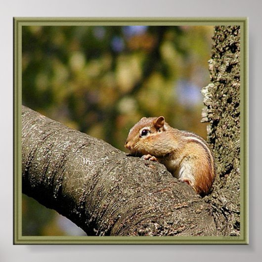 チップかデール？ ポスター (正面)