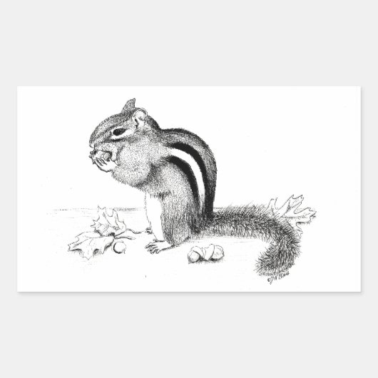 チップムンクのシール 長方形シール (正面)