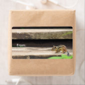 チップムンク登山階段 ラベル (インサイチュ)