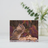 チップムンク葉書 ポストカード (スタンド正面)