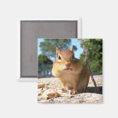 チップムンク – マグネット (正面/裏面)