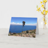 チトカイロン カード (黄色い花)