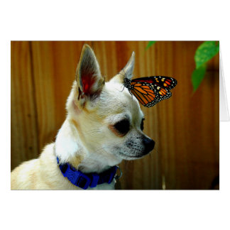 チトーおよび（昆虫）オオカバマダラ、モナークカード