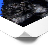 チナベリーの木 ポスター (角)