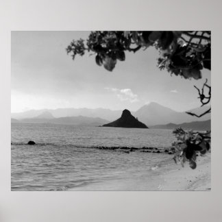 チナマンズハット(W) _bw ポスター