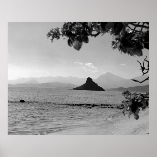 チナマンズハット(W) _bw ポスター (正面)