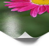 チニービーオン絵を描デイジー フォトプリント            (角)