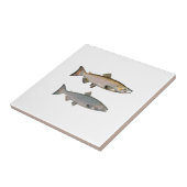 チヌック-王サケ(段階を産んでいる) タイル (側面)