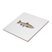 チヌック-王サケ(段階を産んでいる) タイル (側面)