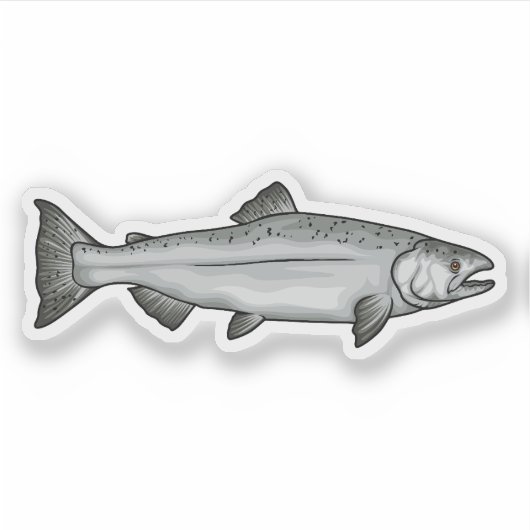 チヌークサーモン海相イラストレーション シール (正面)