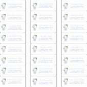 チノイスリーシックウェディングシャワーゲストアドレス シール (正面)