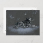 チノックオフェス ポストカード (正面/裏面)