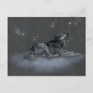 チノックオフェス ポストカード