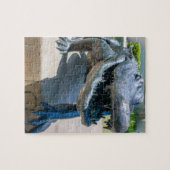 チビーアイランドコンパスバラパークヒルトンヘッド ジグソーパズル (横)