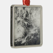 チフズミタッグとハギビス メタルオーナメント (右)