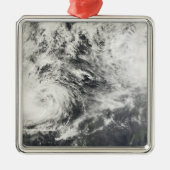 チフズミタッグとハギビス メタルオーナメント (正面)