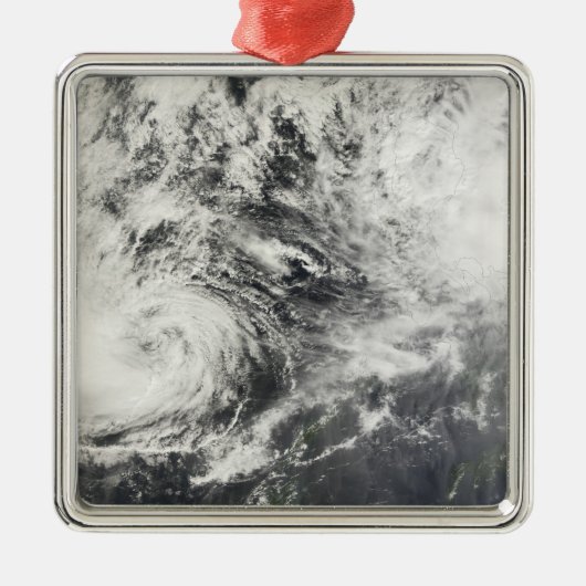 チフズミタッグとハギビス メタルオーナメント (正面)