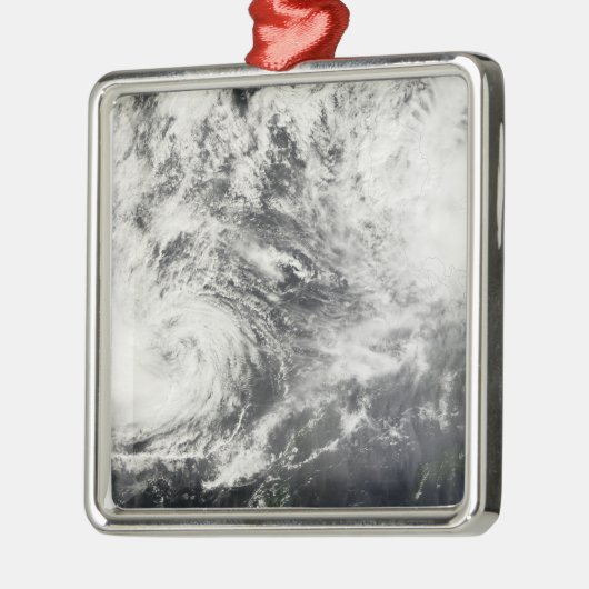 チフズミタッグとハギビス メタルオーナメント (左)