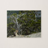 チプムンクアットツーメディスレイクオーバービュー ジグソーパズル (横)