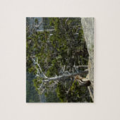 チプムンクアットツーメディスレイクオーバービュー ジグソーパズル (縦)