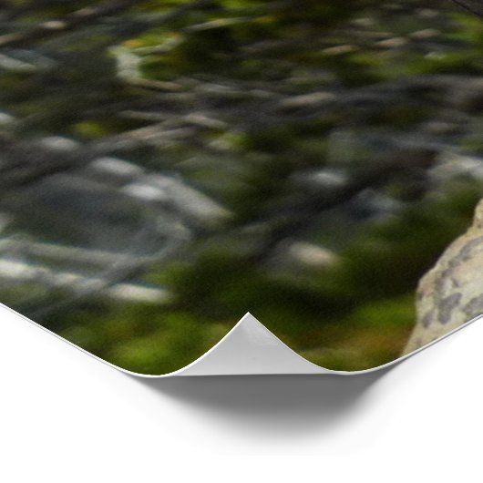 チプムンクアットツーメディスレイクオーバービュー ポスター (角)