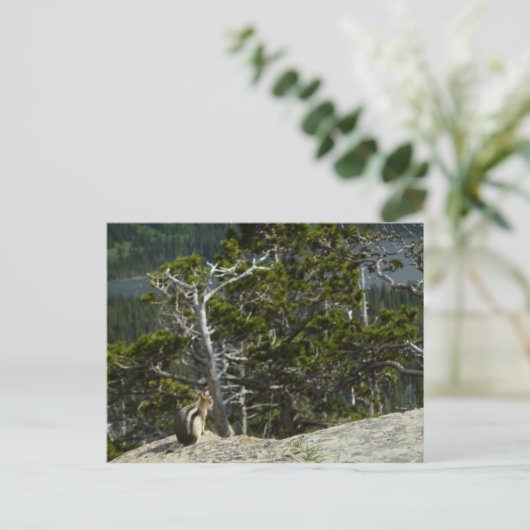 チプムンクアットツーメディスレイクオーバービュー ポストカード (スタンド正面)