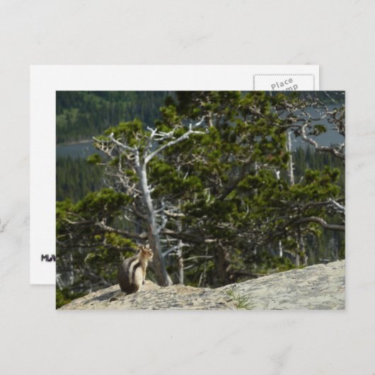 チプムンクアットツーメディスレイクオーバービュー ポストカード (正面/裏面)