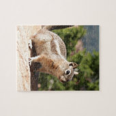 チプムンクアットブライスキャニオン ジグソーパズル (横)