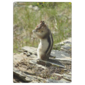 チプムンクイングレイシャ国立公園II クリップボード (裏面)