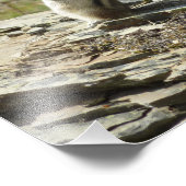 チプムンクイングレイシャ国立公園II フォトプリント            (角)