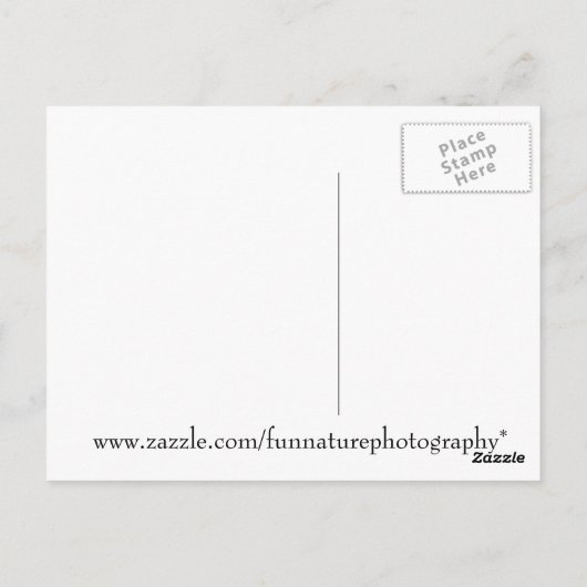 チプムンクバイクもしくは自転車に乗る人オートバイに乗る ポストカード (裏面)