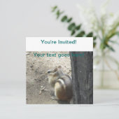 チプムンクミッドランドオンタリオ 招待状 (スタンド正面)