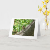 チプムンク,ニューヨーク植物園 カード (黄色い花)