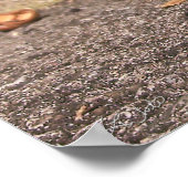 チプムンク – プリント (角)