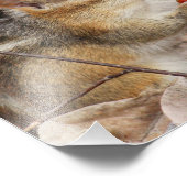 チプムン食べクさくらんぼフォトプリント フォトプリント            (角)