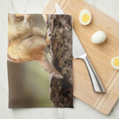 チプムン食べクのピーナッツ キッチンタオル (四つ折り)