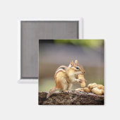 チプムン食べクのピーナッツ マグネット (正面/裏面)