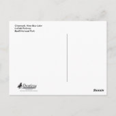 チプムン食べ物クのキノコ ポストカード (裏面)